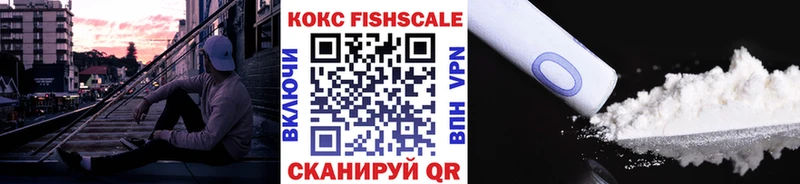 ОМГ ОМГ   Северск  COCAIN Эквадор 