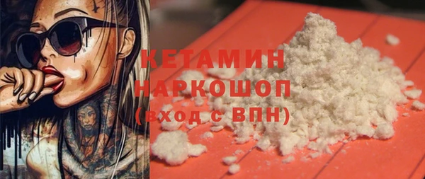крисы Новодвинск