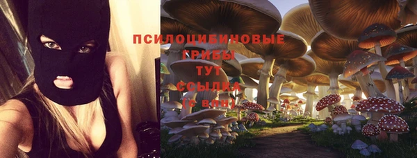 ALPHA PVP Нефтегорск